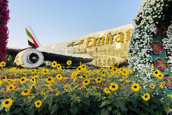 отдых в Эмиратах