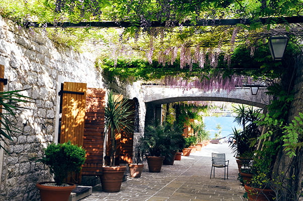 Выгодная поездка в Черногорию Поездка в Черногорию